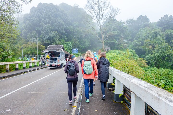 Doi Inthanon nasjonalpark, fossefall og Royal Project Day Tour fra Chiang Mai
