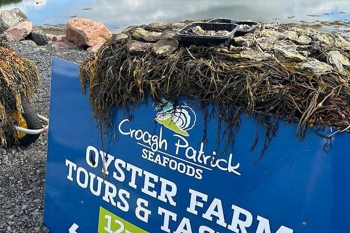 Oyster Farm bezoek door EBike café & oester Bar Dagelijkse Tour 12pm