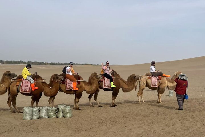 Tour privato di un giorno della Via della Seta di Dunhuang: grotte di Mogao, Crescent Spring