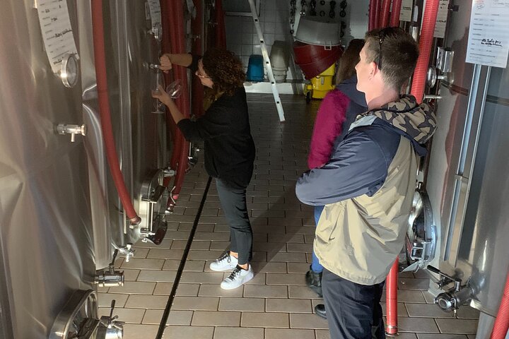 Tour privado todo incluido a Prosecco Hills - 2 bodegas y almuerzo.