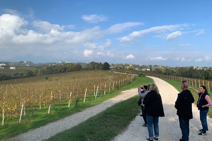 Tour privado todo incluido a Prosecco Hills - 2 bodegas y almuerzo.