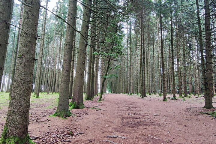 The Battle of the Bulge Experience - Uma excursão de um dia a partir de Bruxelas