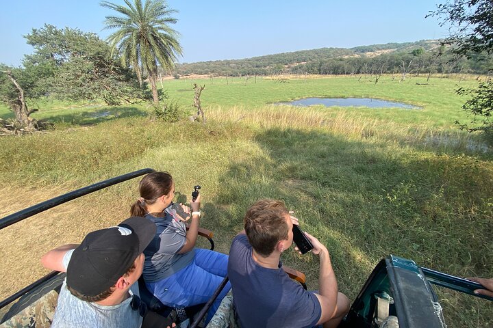 Ranthambore - Partager Safari Tigre Dans Canter Ou Gitan Véhicule