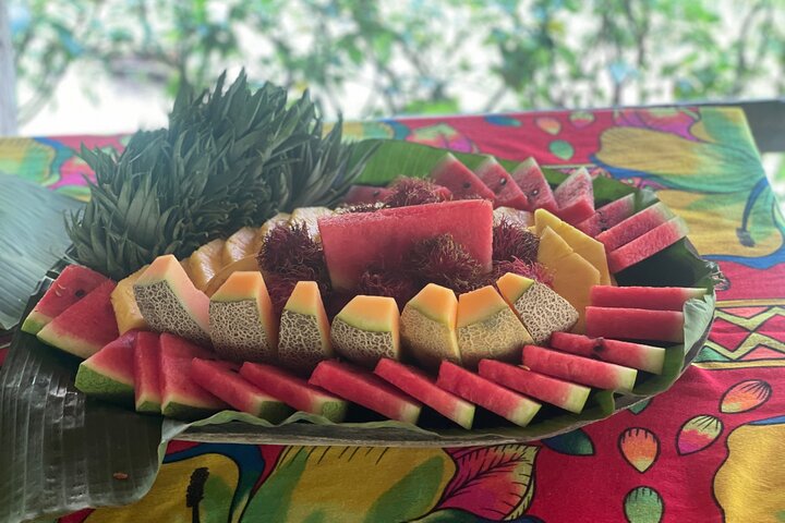 Panama City : Visite d'un village indien Embera et d'une cascade avec déjeuner