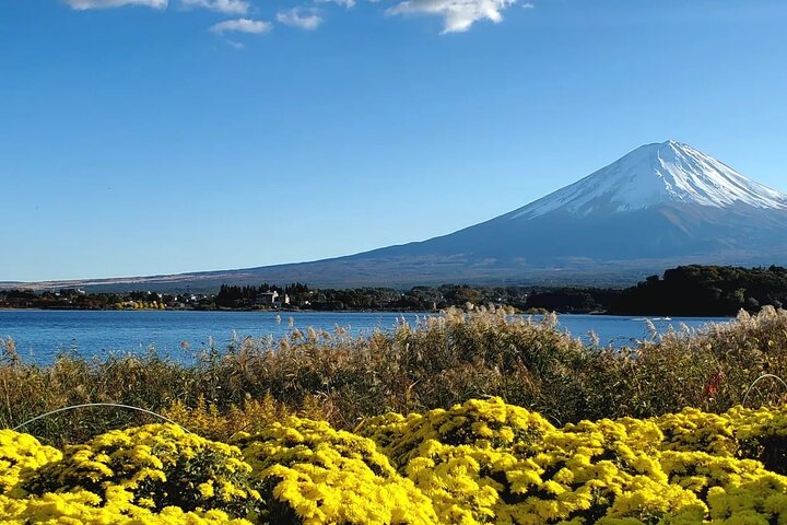 Visite privée d'une journée au mont Fuji au départ de Yokohama Personnalisable