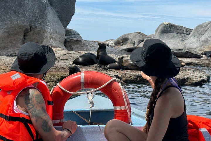 Tur till Coronado Island med snorklingaktivitet och picknick