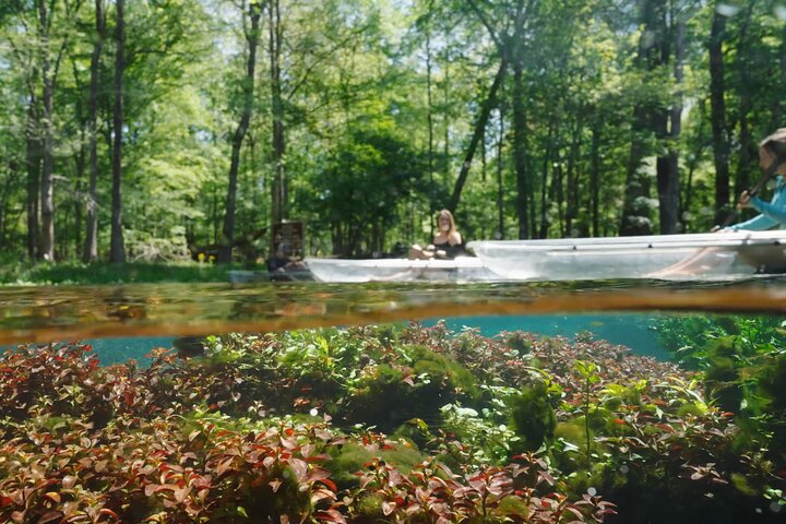 2 uur durende begeleide kajak-ecotour met glazen bodem in Gilchrist Blue