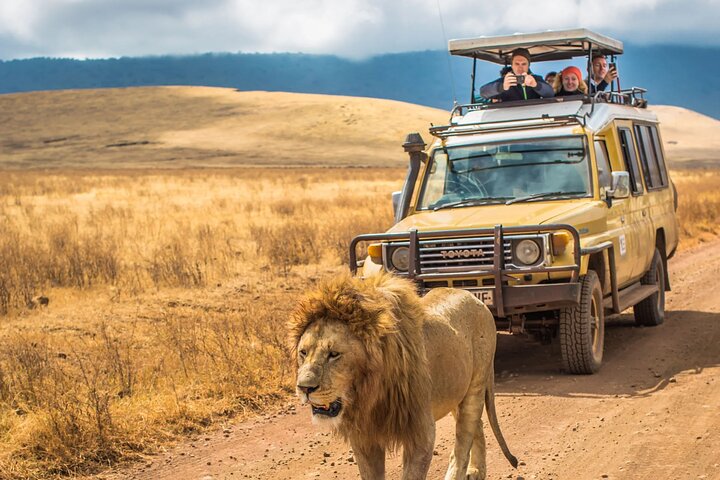 Hluhluwe Imfolozi Big 5 Game Reserve tur fra Durban