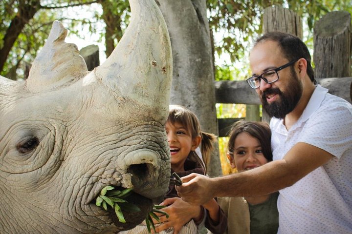 Excursão Safari pela África saindo de Puebla