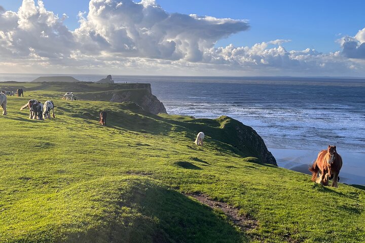 Hoteller i nærheden af Cardiff/Swansea: Gower Peninsula's Cliffs & Mumbles Day Tour