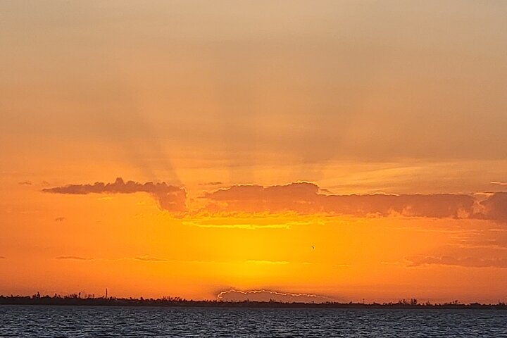 Hoteller i nærheden af Fort Myers Beach Sunset and Dolphin Watching Cruise