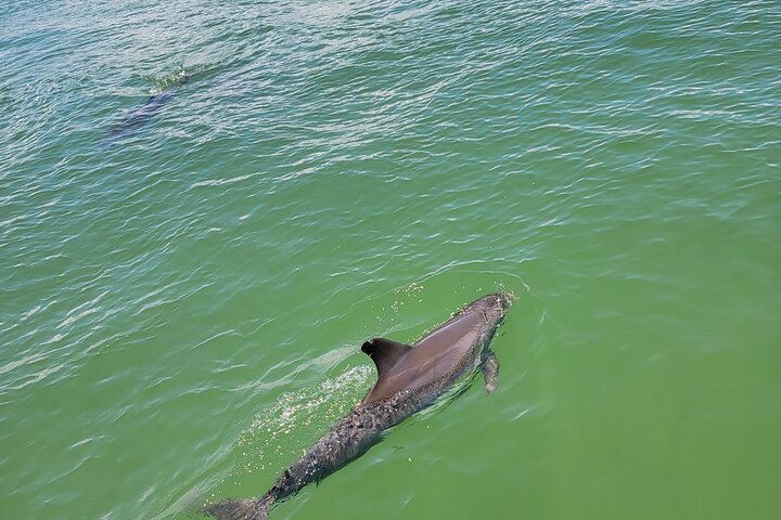 Hoteller i nærheden af Fort Myers Beach Sunset and Dolphin Watching Cruise