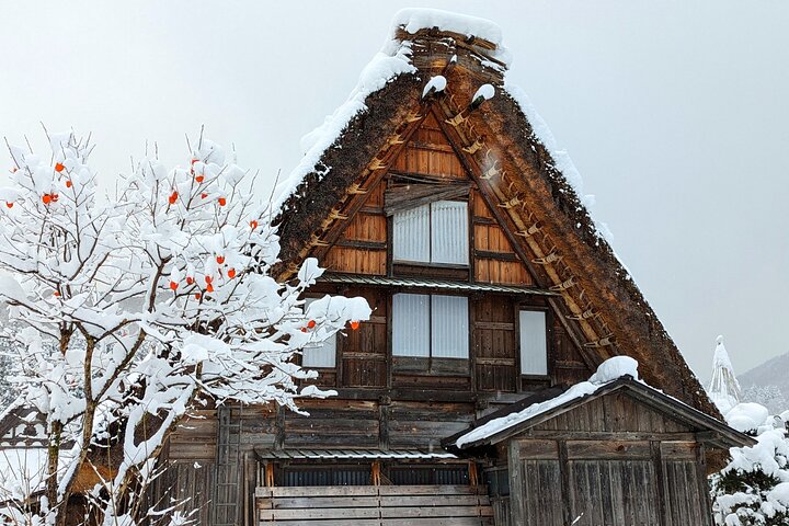 Excursão de 1 dia a Takayama: explore a paisagem de Takayama e Shirakawago