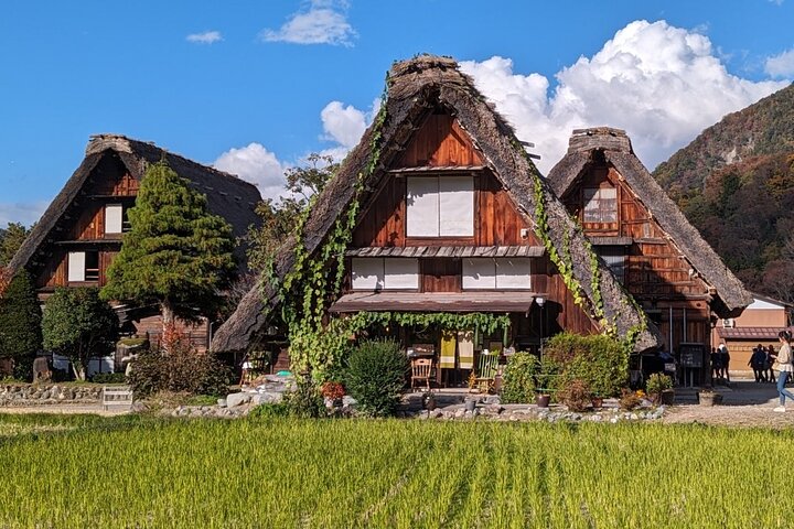 Excursão de 1 dia a Takayama: explore a paisagem de Takayama e Shirakawago