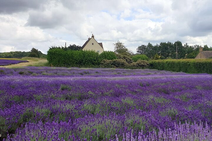 Privat Cotswolds Day Tour: Luksus i en Mercedes