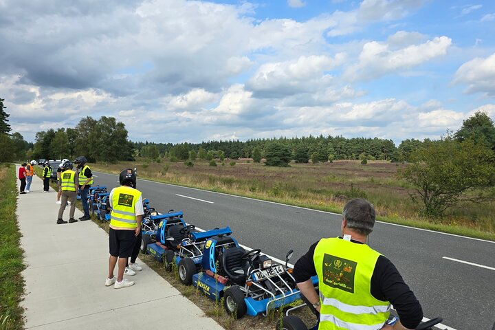 Tour en karts por tierra en la zona de Hamburgo