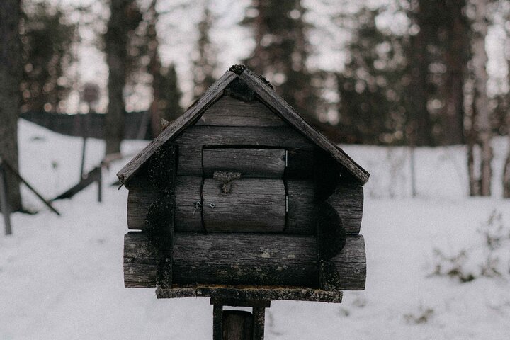 Élevage de rennes avec balade en traîneau à motoneige et déjeuner cabane