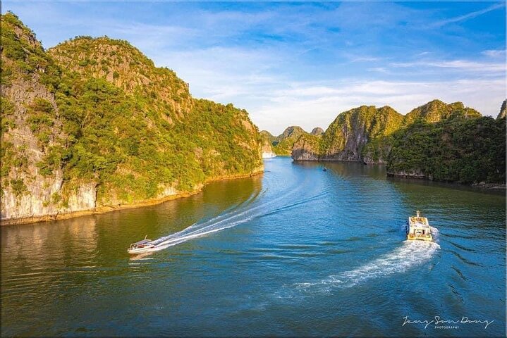 Cat Ba Island: Fulddagstur til Lan Ha Bay med luksuscruise