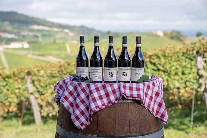 Dégustation de Barolo et visite des vignobles