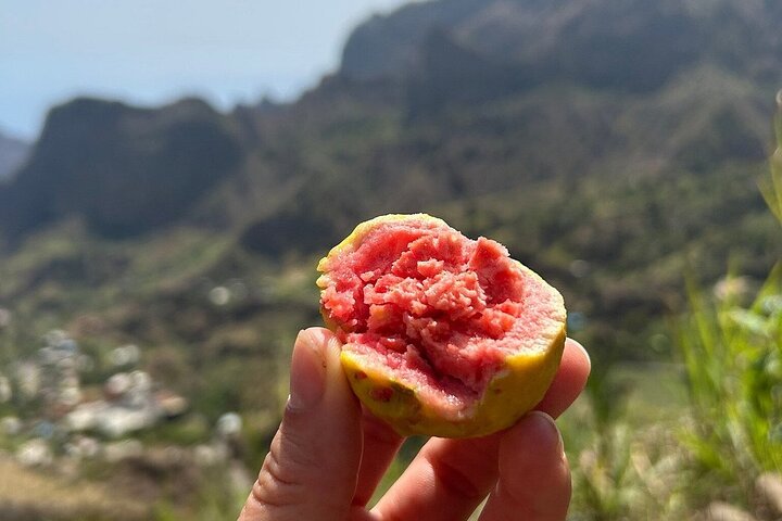 Excursión de un día a Santo Antão en coche – Explore los lugares más destacados de la isla