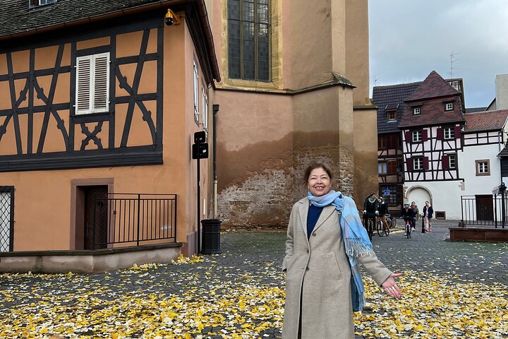 Visite privée de Bâle et de la région Alsace au départ de Zurich