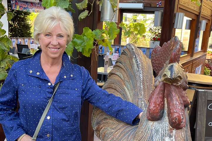 Visite privée de Bâle et de la région Alsace au départ de Zurich