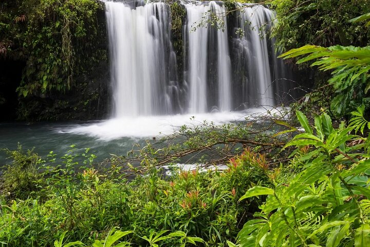 Strada privata per Hana Rainforest & Waterfall Experience da Maui