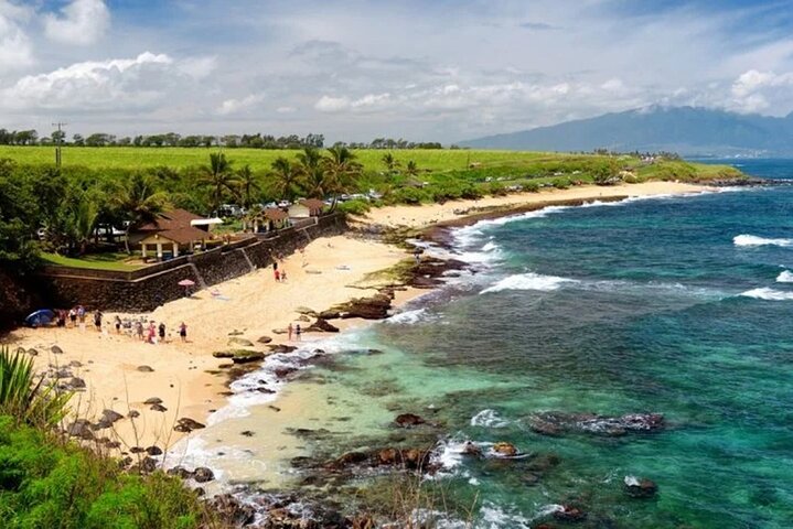 Strada privata per Hana Rainforest & Waterfall Experience da Maui
