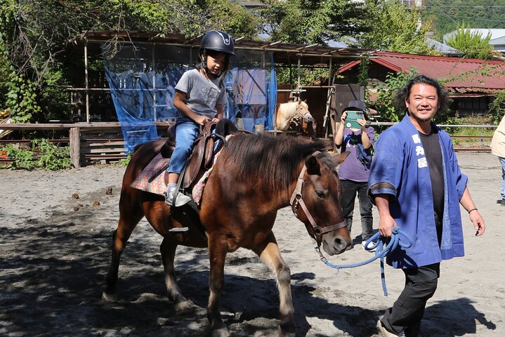 Experiencia privada de interacción con caballos cerca del Monte Fuji