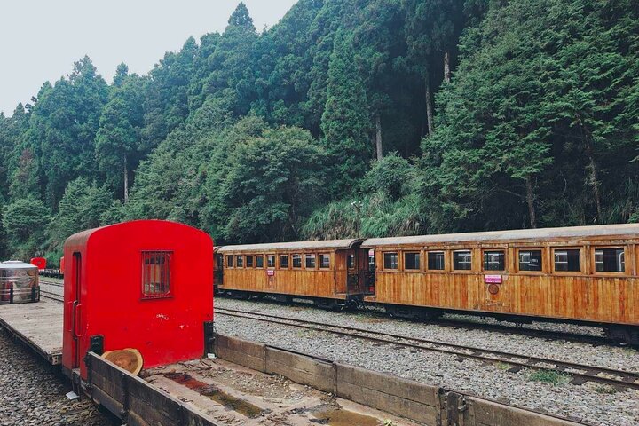 Excursión de un día al bosque nacional Alishan desde Taichung con recogida en el hotel