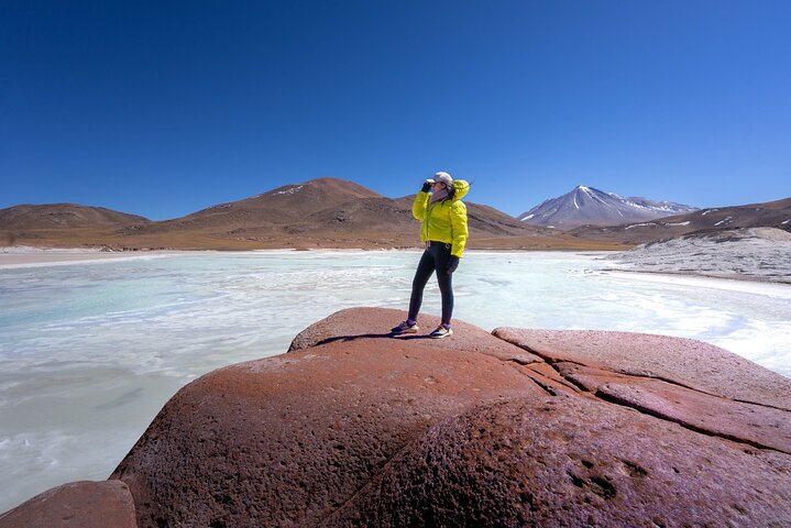 Tour di un'intera giornata Piedras Rojas Lagune Altiplaniche Laguna di Chaxa