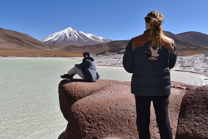 Tour di un'intera giornata Piedras Rojas Lagune Altiplaniche Laguna di Chaxa