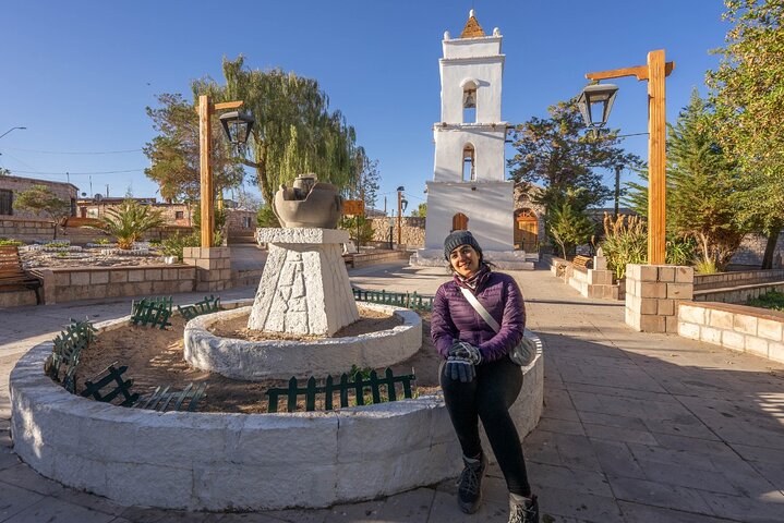 Tour di un'intera giornata Piedras Rojas Lagune Altiplaniche Laguna di Chaxa