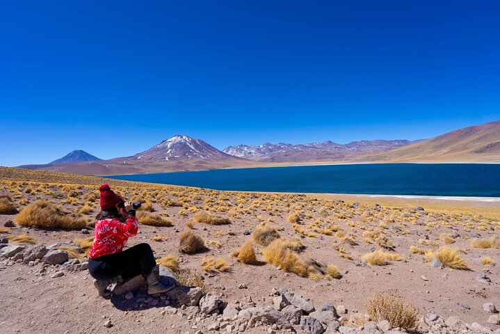 Tour di un'intera giornata Piedras Rojas Lagune Altiplaniche Laguna di Chaxa