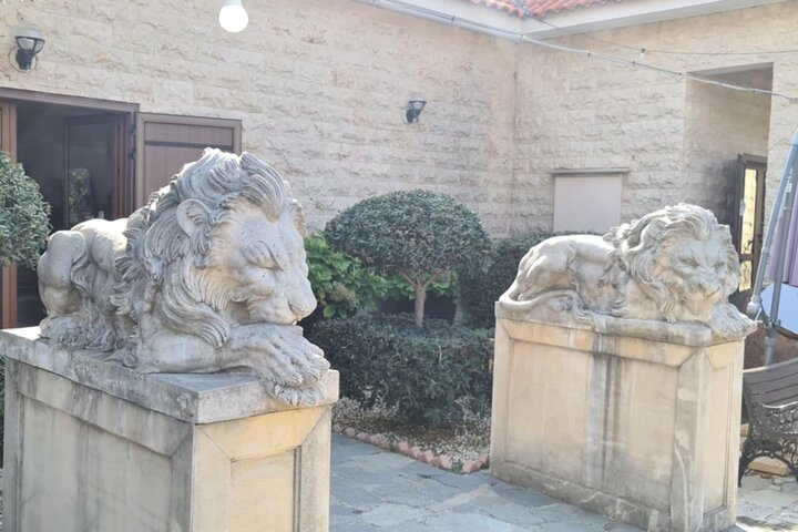 Tour tradicional y moderno por Chipre desde la terminal de cruceros Limassol