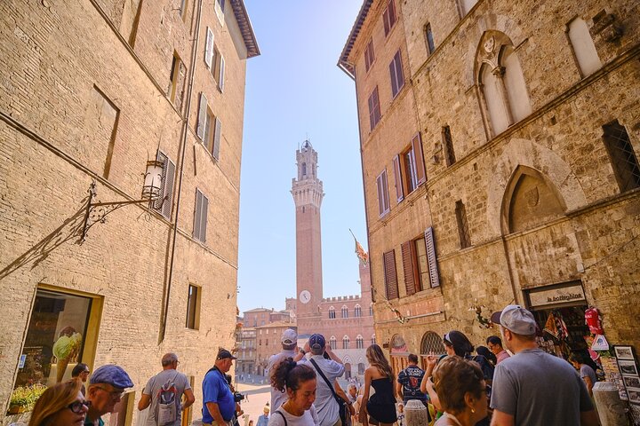Pisa, Siena, San Gimignano met lunch en wijnproeverij bij een wijnmakerij