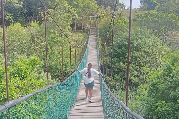 Passeio guiado pelo Kragga Kamma Game Park Safari em Port Elizabeth