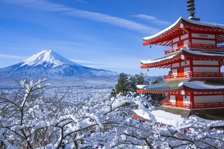 Tokio : Aeropuerto de Narita (NRT) Traslado privado hacia/desde el centro de la ciudad