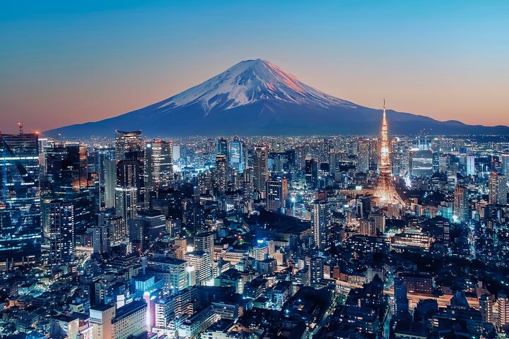 Tokio : Aeropuerto de Narita (NRT) Traslado privado hacia/desde el centro de la ciudad