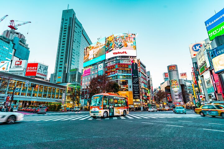 Tokio : Aeropuerto de Narita (NRT) Traslado privado hacia/desde el centro de la ciudad