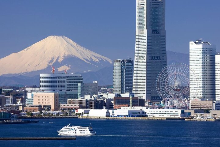 Tokio : Aeropuerto de Narita (NRT) Traslado privado hacia/desde el centro de la ciudad