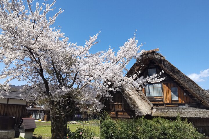 [Visite en bus d'une journée au départ de la gare de Kanazawa] Visite de Shirakawa-go/Takayama en bus Platinum Route