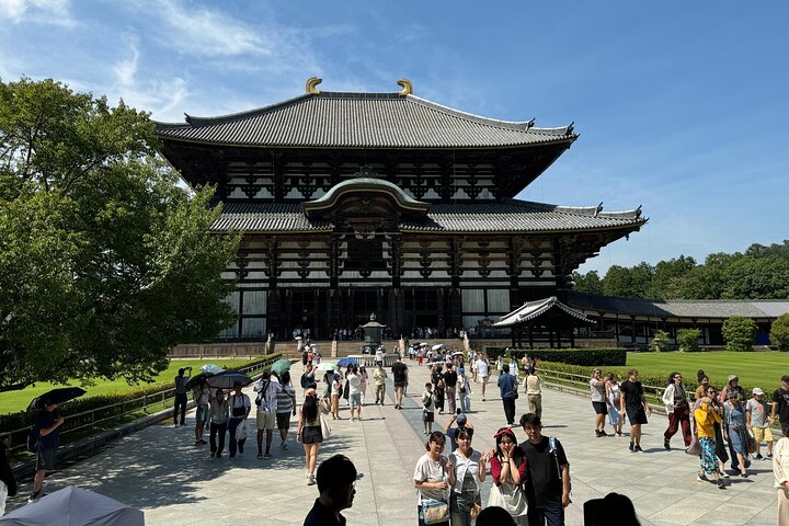 Nara: Excursão privada de meio dia por 4 pontos imperdíveis & Deer Park