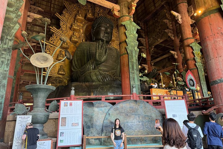 Nara: Excursão privada de meio dia por 4 pontos imperdíveis & Deer Park