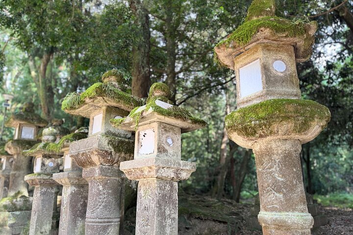 Nara: Excursão privada de meio dia por 4 pontos imperdíveis & Deer Park
