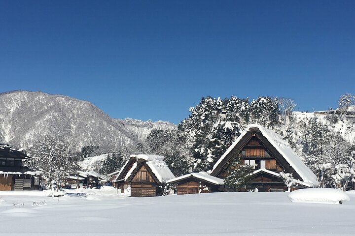 [Visite en bus d'une journée au départ de la gare de Kanazawa] Visite de Shirakawa-go/Takayama en bus Platinum Route