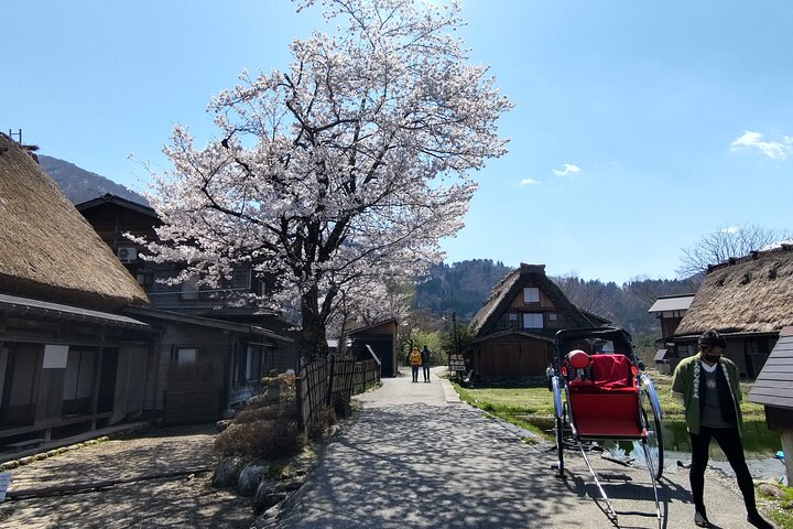 [Visite en bus d'une journée au départ de la gare de Kanazawa] Visite de Shirakawa-go/Takayama en bus Platinum Route