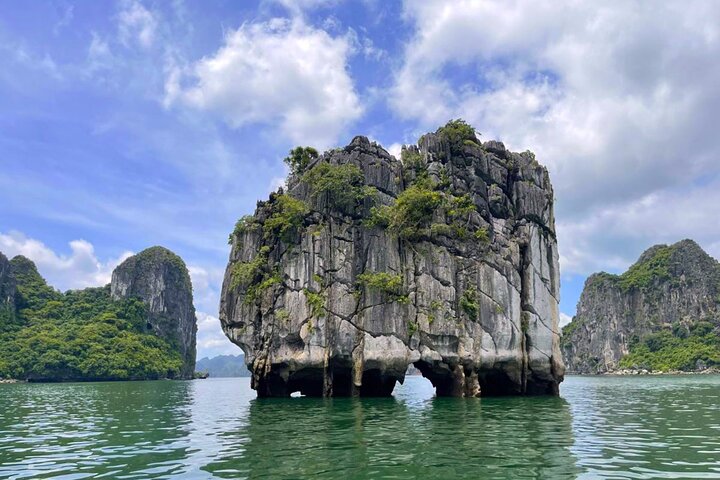 Best Seller Halong Bay 5-Star Day Cruise: Buffet, Kayak & Caves