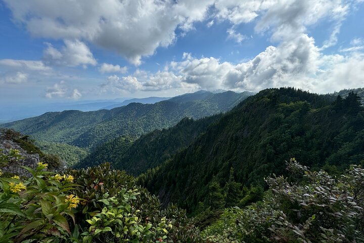 Best of the Smokies : Aventura guiada privada de día completo