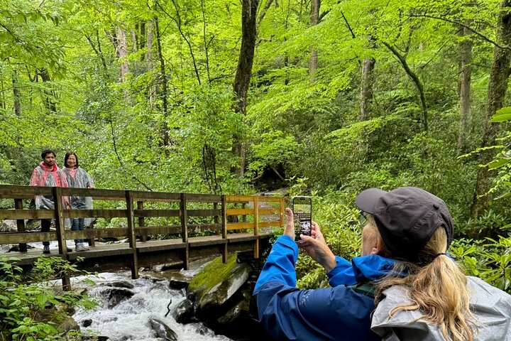 Best of the Smokies : Aventura guiada privada de día completo